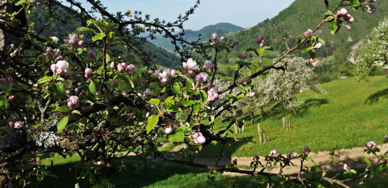 Ferienwohnung Kmetija Na Cendavs Cerkno Exterior foto