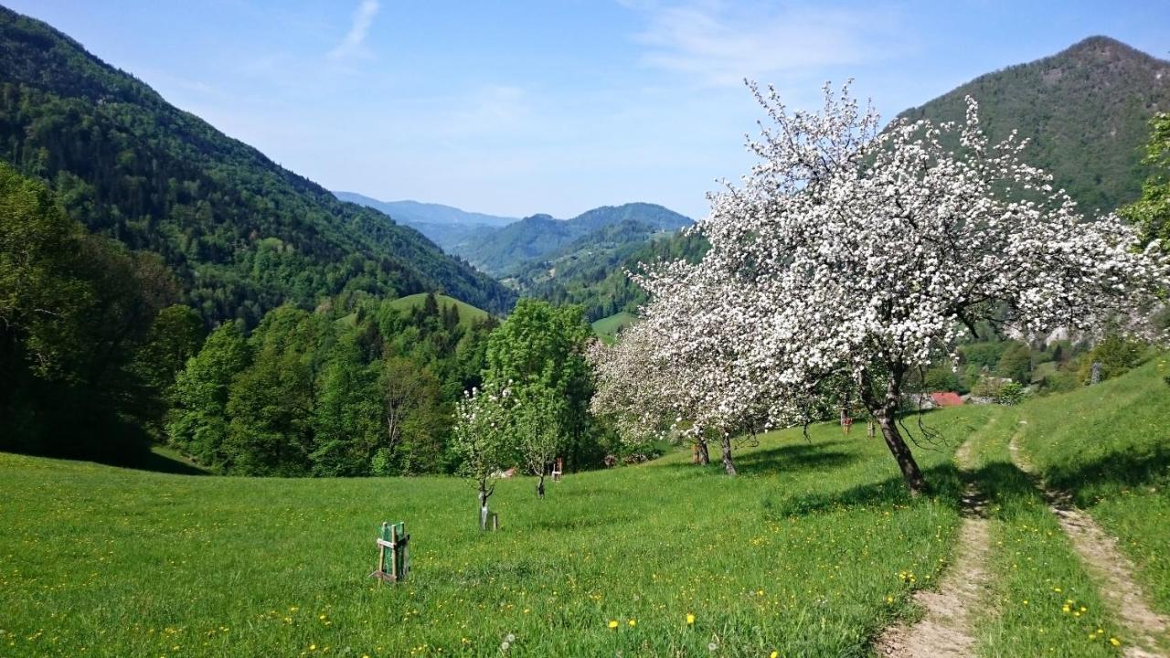 Ferienwohnung Kmetija Na Cendavs Cerkno Exterior foto